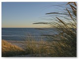 In den Dünen bei Hvide Sande / Dänemark