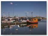 Im Hafen von Hvide Sande / Dänemark