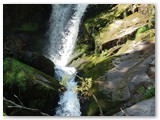 Triberger Wasserfälle ( https://de.wikipedia.org/wiki/Triberger_Wasserf%C3%A4lle)