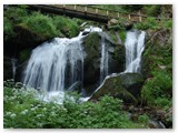 Triberger Wasserfälle ( https://de.wikipedia.org/wiki/Triberger_Wasserf%C3%A4lle)
