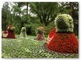 Am Bodensee,Insel Mainau