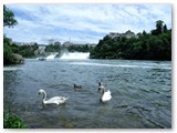 Rheinfall bei Schaffhausen (Schweiz)