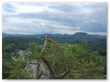 Im Gebiet der Bastei und Schwedenlöchern