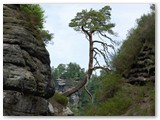 Im Gebiet der Bastei und Schwedenlöchern