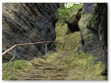 Um den Lilienstein