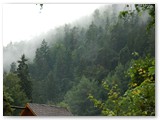 Kirnitschtal bei Regen