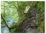 Im Kirnitschtal auf dem Flößersteig