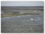 Wattwanderung Neßmersiel => Baltrum