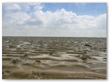 Wattwanderung Neßmersiel => Baltrum