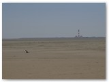 Westerhever Leuchtturm vom Strand von St Peter Ording