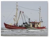 Am Strand von St Peter Ording