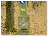 Unterwegs auf dem Urwaldsteig im Kellerwald