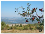 Unterwegs auf dem Urwaldsteig im Kellerwald