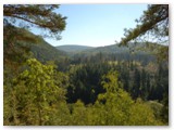 Unterwegs auf dem Urwaldsteig im Kellerwald