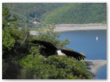 Im WildtierPark Edersee