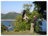 Im WildtierPark Edersee