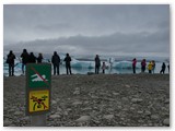 Jökulsarlón Gletscherlagune