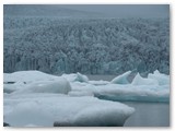 Jökulsarlón Gletscherlagune