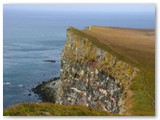 Latrabjarg, Westfjorde