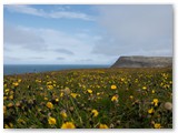 Latrabjarg, Westfjorde