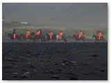 Reiter auf dem Strand bei Vik