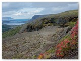 Auf dem Weg zum Glymur Wasserfall, der höste Wasserfall in Island.