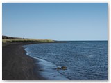 Hvítserkur, Vatnsnes Halbinsel