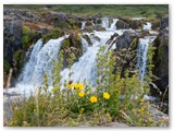 Am Dynjandi Wasserfall, Westfjorde