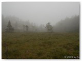 Wanderweg zum Preikestolen