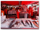 Bergen Fischmarkt