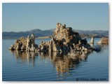 Monolake	